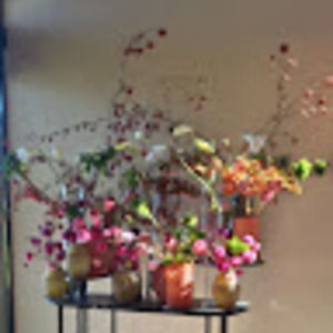 Meet your Posher, Pamala